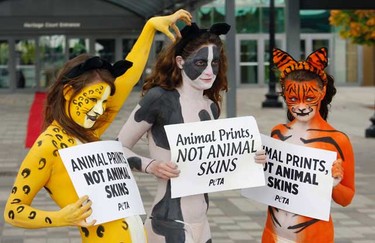 Sexy PETA supporters, whose bodies were painted to resemble tigers, leopards, and cows were in front of Direct Energy Centre on Tuesday Oct. 19, 2010  told attendees of Toronto Fashion Week that animals suffer for the fur, leather, and exotic-skins industries.  (CRAIG ROBERTSON, Toronto Sun)