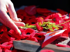 A person lays a poppy down on the Tomb of the Unknown Soldier during The National Ceremony of Remembrance at the National War Memorial in Ottawa on Thursday, Nov 11, 2010. (ANDRE FORGET/QMI AGENCY)