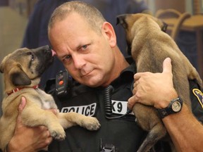 Police showed off eight police dog puppies at a news conference in Winnipeg on Friday, August 27, 2010. Police dog handler Const. Dennis Robert is shown with two of the pups. (Winnipeg Sun)