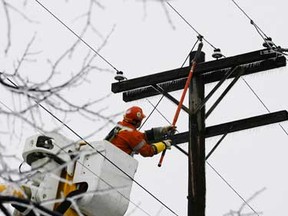A Hydro Ottawa worker repairs a pole. (ANDRE FORGET/QMI Agency)