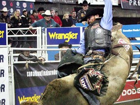 Scott Schiffner hangs on to Croc on a Rock for a score of  87.5  during the Bull Riding competition Thursday.  (Jason Franson/Sun Media)