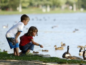 Twins Anna and Jacob Matte, 5, feed the ducks while out for a bike ride along Dow's Lake with their family Saturday, August 15, 2009. (DARREN BROWN/Sun Media)