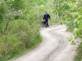 A canine police officer searches the bush area around the residence of victims Sue Trudel and Barry Boenke. (EDMONTON SUN FILE)