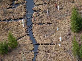 People examine an oil spill at a ruptured section of the Rainbow pipeline in Evi, Alberta May 5, 2011. (REUTERS/Greenpeace/Handout)