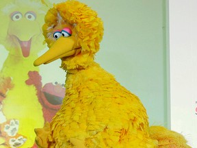 Sesame Street's Big Bird. (REUTERS FILES/Christina Hu)