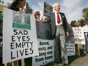 Last time game-show host Bob Barker was heard of in Alberta was to advocate the release of Edmonton elephant Lucy. (QMI Agency file photo)