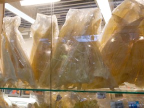 Shark fin on shelves of Shark's Fin City at the Pacific Mall on Steeles Ave. (DAVE THOMAS/Toronto Sun)