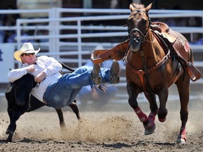 Straws Milan of Cochrane, Alta., wrestles a steer in the first round of the steer wrestling event during the Calgary Stampede rodeo finals, July 17, 2011. Milan went on to win the event. REUTERS/Todd Korol