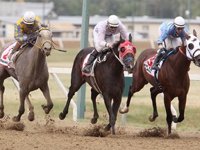 Hammers Bullet (c), with jockey Mark Anderson up, edges past GotaTigerByTheTail (l) and Big Blue Caboose to win the 2011 Manitoba Lotteries Derby at Assiniboia Downs in Winnipeg Monday August 1, 2011. (Winnipeg Sun files)