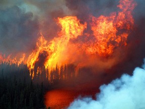 A forest fire rages (MITCH MILLER/ QMI Agency)