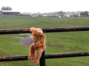 A toy bear hangs on the entrance to Terry Thompson's property, where exotic animals were kept, in Zanesville, Ohio on October 20, 2011. Dozens of exotic animals including tigers, lions and bears were let loose on Ohio farmland by their owner before he committed suicide. (REUTERS/Matt Sullivan)