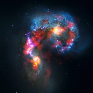 The Antennae Galaxies (also known as NGC 4038 and 4039) are seen in this image made from the parabolic antennas of the ALMA (Atacama Large Millimetre/Submillimetre Array) project at the El Llano de Chajnantor in the Atacama desert, some 1,730 km north of Santiago and 5,000 metres above sea level, October 3, 2011. (ALMA (ESO/NAOJ/NRAO)Visible light image: the NASA/ESA Hubble Space Telescope)