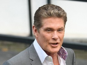 David Hasselhoff inspired some scientists to name a new species of crab after him, because it has a hairy chest. (WENN)