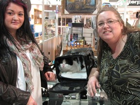 After a tumultuous three-month journey that began on Sept. 23, George the cat — safe and secure in a cat carrier — was reunited with his owner Vanessa Summerfield, thanks to the help of hundreds of dedicated volunteers, like Lori Oshanek (right), WestJet customer service agent and in-flight cat companion. AMANDA RICHARDSON/QMI Agency