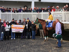 Jockey J.D. Acosta sits aboard Rapid Redux in the winners circle after winning the 6th race at Laurel Park Wednesday. It was the gelding's 22nd consecutive victory.  (Rob Carr/Getty Images/AFP)