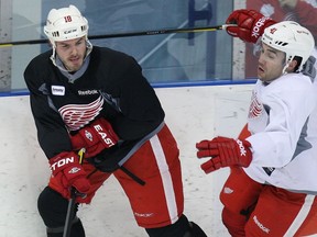 Ex-Leaf Ian White tries to pull away from teammate Chris Connor during the Red Wings' workout at the MasterCard Centre on Friday. (Craig Robertson, Toronto Sun)
