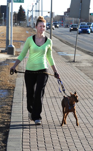 Angie Auger enjoys the warm weather as she walks her German Pinscher Rocko along 118 ave and Tower Rd in Edmonton, Ab on Jan 7, 2012. PERRY MAH/EDMONTON SUN  QMI AGENCY