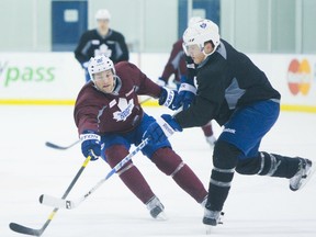 Maple Leafs' David Steckel (left) and Dion Phaneuf go at during a practice at the MasterCard Centre on Thursday. (Ernest Doroszuk /TORONTO SUN)