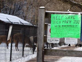 Supporters are calling for the city to spare the High Park Zoo as Toronto councillors prepare to look at budget cuts this week. (VERONICA HENRI, Toronto Sun)