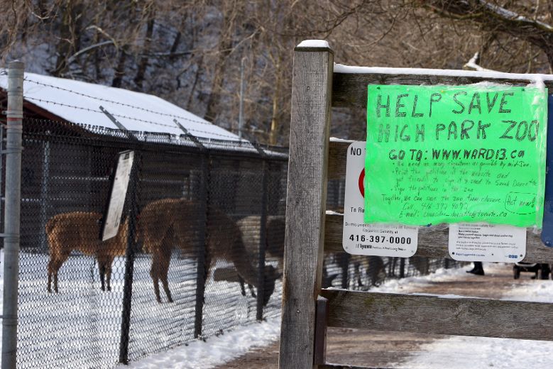 Save High Park Zoo Supporters Toronto Sun