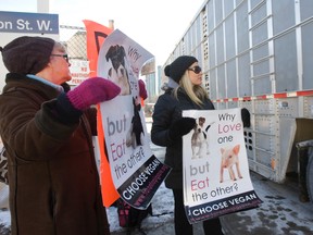 Protesters at Quality Meat Packers in Toronto's west end Sunday. (JACK BOLAND/Toronto Sun)