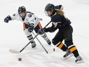 Olympian Fiona Smith-Bell says playing hockey can help girls follow their dreams, learn teamwork and goal-setting. (QMI Agency)