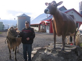Russell’s Mike Bols loves his Jersey cows, both real and recycled from a fibreglass Holstein. (Tom Van Dusen photo)