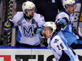 Mississauga St. Michaels Majors forward Riley Brace celebrates his goal against the Saint John Sea Dogs with teammates on the bench during the Memorial Cup final in Mississauga, Ont., May 29, 2011. (MIKE CASSESE/Reuters)