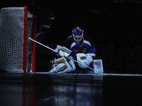 Brian Elliott has been superb for the St. Louis Blues this season. (AFP FILE PHOTO)