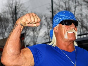 Hulk Hogan. (WENN.com)