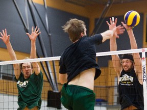 Kevin Proudfoot takes a shot on blockers Matt McCreary, left, and Jay Olmstead, right, during the University of Alberta Golden Bears volleyball practice at the Go Centre on Wednesday. (Codie McLachlan, Edmonton Sun)