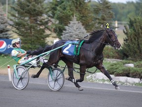 Monkey On My Wheel was recognized as the top three-year-old pacing filly at the O'Brien Awards last weekend in Toronto. (Iron Horse Photo)