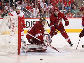 Coyotes goaltender Mike Smith makes a save against the Red Wings at Jobing.com Arena in Glendale, Ariz., Feb. 6, 2012. (CHRISTIAN PETERSEN/Getty Images/AFP)