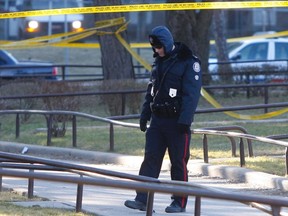 A Toronto Police officer scours the ground following a Thursday shooting in Etobicoke. (CHRIS DOUCETTE/Toronto Sun)