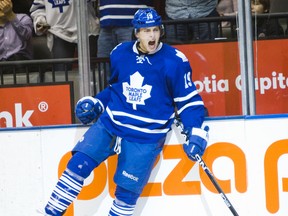 Leafs forward Joffrey Lupul celebrates a goal. (file photo)