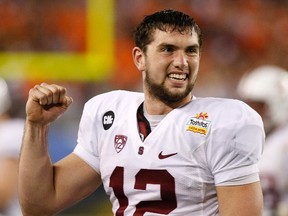 Stanford Cardinal quarterback Andrew Luck celebrates in the third quarter against the Oklahoma State Cowboys during the 2012 Fiesta Bowl in Glendale, Arizona January 2, 2012. (REUTERS/Rick Scuteri)