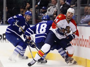 Florida Panthers' Erik Gudbranson battles against Maple Leafs forwards Mike Brown and David Steckel (left) at the Air Canada Centre on Tuesday night. (Michael Peake/Toronto Sun)