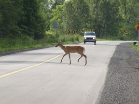 Police are reminding drivers to be cautious about wildlife near roads.