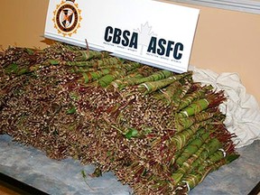 Two Brits attested in khat seizure. SUPPLIED
