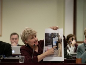 Councillor Paula Fletcher complains about InfoPillars at Tuesday's public works committee meeting at City Hall. (Mark Tarnovetsky/Toronto Sun)