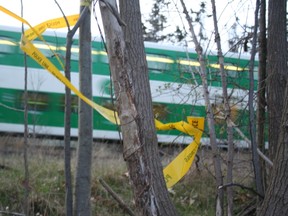 GO Train (Toronto Sun files)