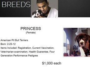 Screen grab from Chris Brown's website, CB Breeds.