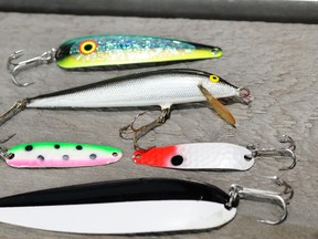 Salmon Derby