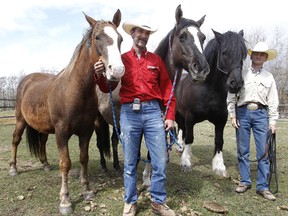 Chip, Guy Bourassa, Cheyenne, Alick Brooke and Zeus stand in a paddock south of Sherwood Park on Thursday May 3, 2012. The men and horses are getting ready to leave on a across the country trip. Their cross-Canada ride fundraising ride was planned in conjunction with The Angel Express, a non-profit group dedicated to shedding light on the impacts of child exploitation and abuse. More info can be found at; www.theangelexpress.com. TOM BRAID/EDMONTON SUN  QMI AGENCY