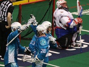 Members of the Rochester Knighthawks celebrate a second-half goal in front of Rock goalie Nick Rose last night at the ACC.