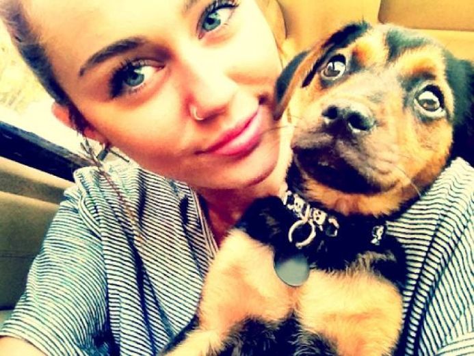 Miley Cyrus adopts another dog Toronto Sun