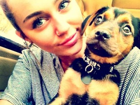 Miley Cyrus shows off her new nose ring in a photo with her puppy posted on Twitter.com, with the caption, "happiness." (WENN.COM)