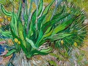 Van Gogh: Up Close opens at the National Gallery of Canada on May 25. The show runs until Sept. 3. (Image courtesy of the National Gallery Canada)