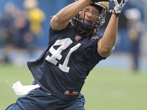 Linebacker Clint Kent works out during Winnipeg Blue Bombers training camp on Monday at Canad Inns Stadium.