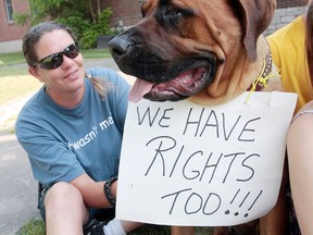 Tammy O'Coin sits outside the Ontario Court of Justice in Napanee, Ont. with Savannah, her year-old English mastiff, Tuesday. Protesters called for stiffer penalties for those convicted of animal cruelty. Two local men charged with drowning a dog told the court they are seeking legal counsel. They'll return to court June 26.